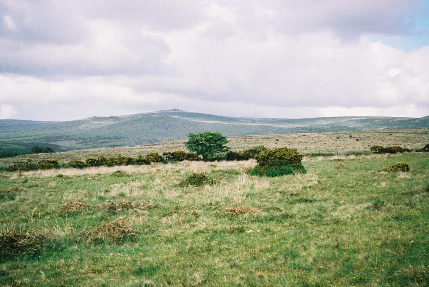 Dartmoor (film)